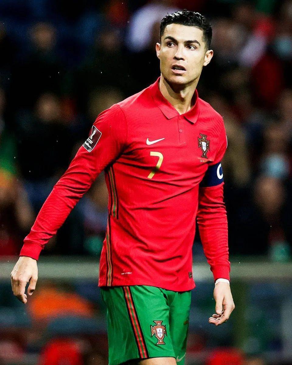 象代表着新 象代表着新